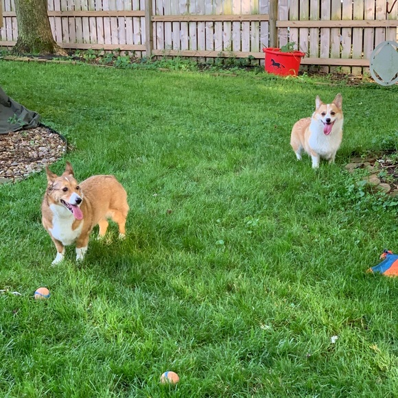 Bundle up and save for a discount!!!